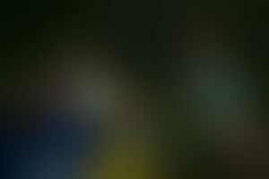 Фотография квеста-анимации Тайны Among Us от компании Корпорация праздников (Фото 4)