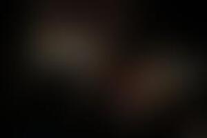 Фотография квеста-анимации Жизнь в Майнкрафте от компании Корпорация праздников (Фото 2)