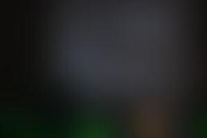 Фотография квеста-анимации Жизнь в Майнкрафте от компании Корпорация праздников (Фото 4)