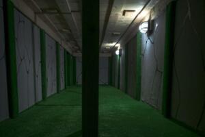 Фотография квеста-анимации Жизнь в Майнкрафте от компании Корпорация праздников (Фото 5)