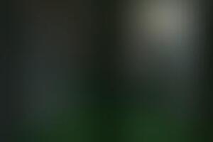 Фотография квеста-анимации Жизнь в Майнкрафте от компании Корпорация праздников (Фото 5)