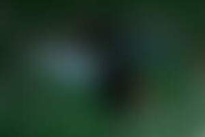 Фотография квеста-анимации Приключения в Brawl Stars от компании Корпорация праздников (Фото 5)